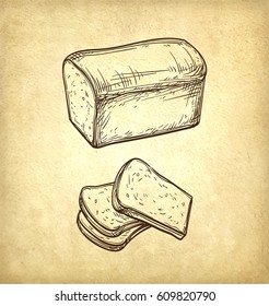 Fresh toast bread. Hand drawn vector illustration on old paper background. Retro style.