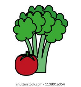 fresh tomato and broccoli