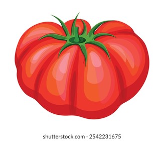 Fresh tomato in cartoon style. Vector illustration of a red, tasty, whole tomato, with a green stem, isolated on a white background. Useful vegetables. Round tomato.