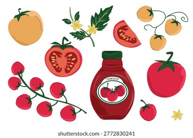  Fresh Tomato Collection Vector – Cherry Tomatoes on Vine, Ketchup Sauce Bottle, Yellow Tomatoes, Slices, Seeds and Blossoms, Organic Food Illustration Set