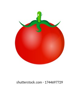 fresh tomato fruit, healthy vitamin. vector element