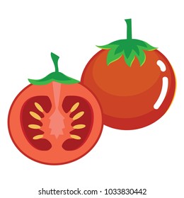 Fresh Tomato Fruit Illustration