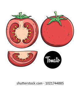 fresh tomato fruit set with colored sketch style on white background