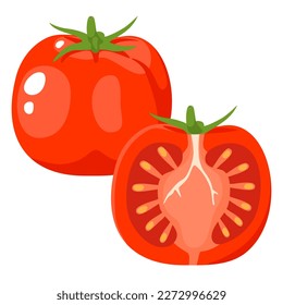 Las rodajas de tomate fresco y de tomate están aisladas en un fondo blanco. Diseño de dibujos animados planos de ilustraciones vectoriales.
