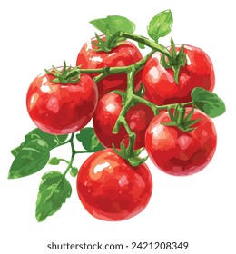 fresh tomato with green leaves hand drawn illustration isolated on white background