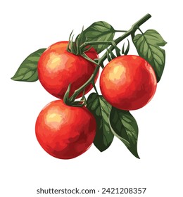 tomate fresco con hojas verdes ilustración dibujada a mano aislado en fondo blanco