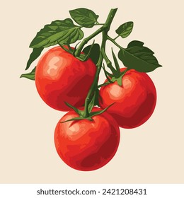 tomate fresco con hojas verdes ilustración dibujada a mano