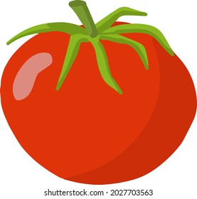 Ilustración vectorial hecha a mano de tomate fresco. Tomates vegetarianos y dietéticos. ... Comida fresca y orgánica. Ingrediente vegetariano para ensalada	