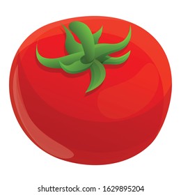 Fresh tomato icon. Cartoon of fresh tomato vector icon for web design isolated on white background