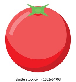 Fresh tomato icon. Isometric of fresh tomato vector icon for web design isolated on white background