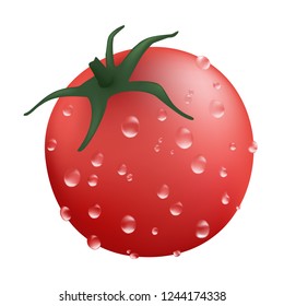 fresh tomato illustration