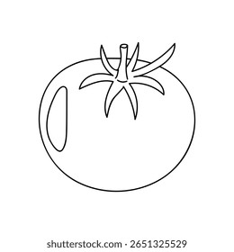Fresh tomato illustration showcasing its vibrant shape and natural features in simple line art style