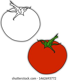 Tomate fresco, ilustración, vector sobre fondo blanco.