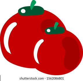 Fresh tomato, illustration, vector on white background.