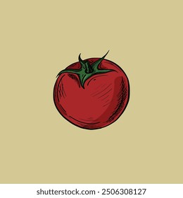 Fresh tomato isolated .Hand-drawing. Vector illustration.