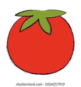 fresh tomato isolated icon
