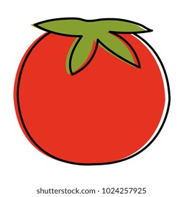 fresh tomato isolated icon