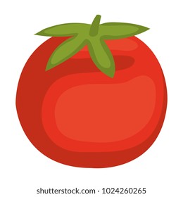 fresh tomato isolated icon