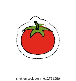 fresh tomato isolated icon