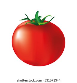 fresh tomato isolated icon vector illustration design