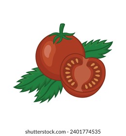Tomate fresco con hojas, diseño de ilustración vectorial