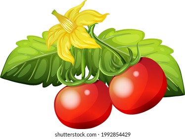 Fresh tomato on white background illustration