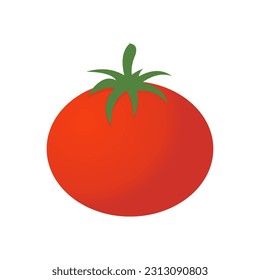 Ilustración vectorial de tomate fresco sobre fondo blanco