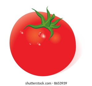Tomate fresco. Vector. No se utilizan mallas de gradiente - Fácil de editar y cambiar de color.
