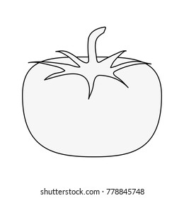 Fresh tomato vegetable