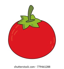 Fresh tomato vegetable,