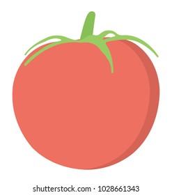 
Fresh tomato, vegetable flat icon
