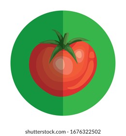 hortalizas frescas de tomate en forma de ilustración circular de marco vectorial