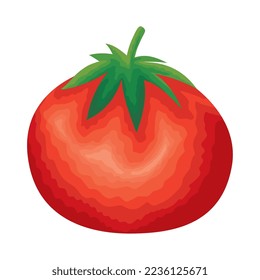 fresh tomato vegetable healthy food
