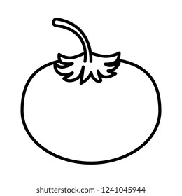 fresh tomato vegetable icon