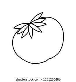 fresh tomato vegetable icon