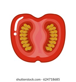 fresh tomato vegetable icon
