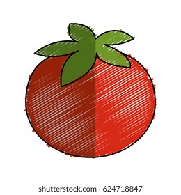 fresh tomato vegetable icon