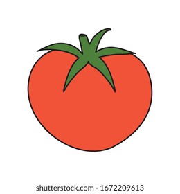 fresh tomato vegetable isolated icon vector illustration design