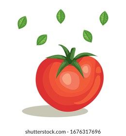 fresh tomato vegetable with leafs vector illustration design