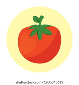 verdura de tomate fresco en marco redondo, sobre el diseño de ilustraciones vectoriales de fondo blanco
