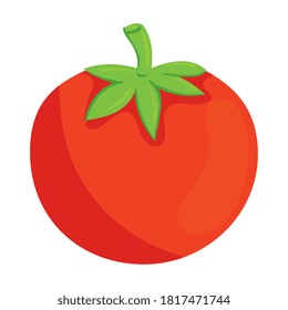 huerto de tomate fresco en fondo blanco diseño de ilustración vectorial