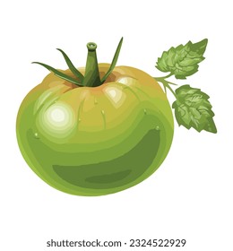 Fresh tomato vegetables, ripe and healthy eating icon isolated