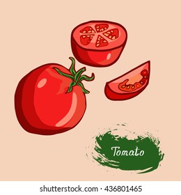fresh tomatoes, drawn in a vector, EPS10