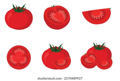  Fresh tomatoes in flat style vector illustration