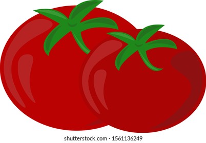 Tomates frescos, ilustración, vector sobre fondo blanco.