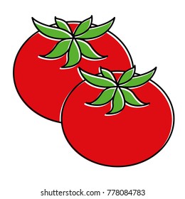 fresh tomatoes isolated icon