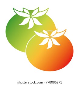 fresh tomatoes isolated icon