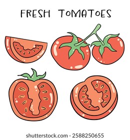 fresh tomatoes, ripe tomatoes, hand drawn