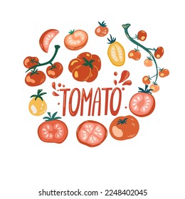 Frische Tomaten in runder Form.Reife Bio Gemüse Banner, Poster, Kartendesign Vorlage. Bio-Gartenernte. Illustration landwirtschaftlicher Erzeugnisse
