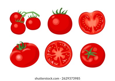 Fresh tomatoes set. Branch of cherry tomatoes, whole and slices vegetables. Vector cartoon flat illustration
